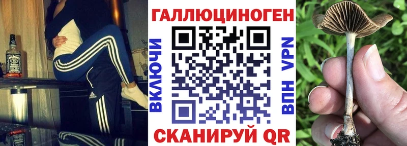 Псилоцибиновые грибы GOLDEN TEACHER  кракен ссылки  Сухиничи  дарнет шоп 